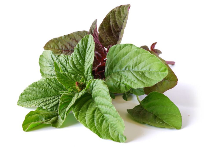 Amaranth leaves